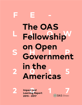 The OAS Fellowship on Open Government in the Americas