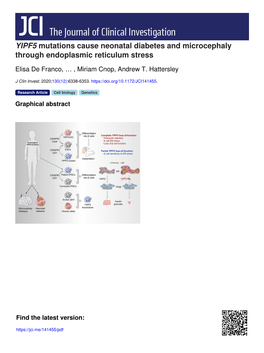 YIPF5 Mutations Cause Neonatal Diabetes and Microcephaly Through Endoplasmic Reticulum Stress