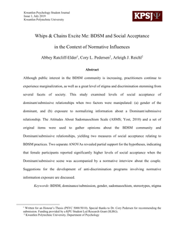 BDSM and Social Acceptance in the Context of Normative Influences