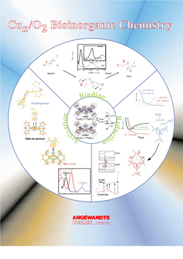 Oxygen Binding, Activation, and Reduction to Water by Copper Proteins