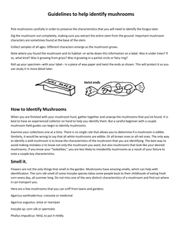 Guidelines to Help Identify Mushrooms