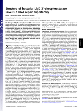 Structure of Bacterial Ligd 3′-Phosphoesterase Unveils a DNA Repair Superfamily