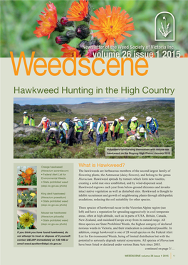 Weedscene 26 – 1 2015