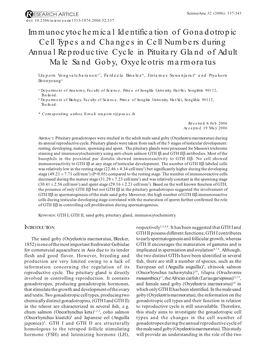 Immunocytochemical Identification of Gonadotropic Cell Types And