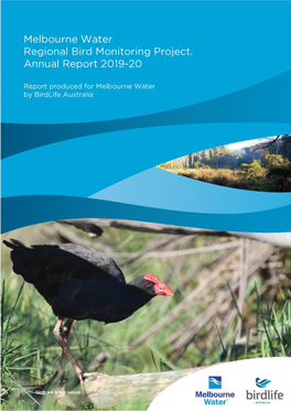 Regional Bird Monitoring Annual Report 2019