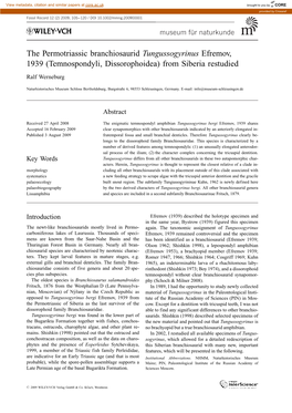 Temnospondyli, Dissorophoidea) from Siberia Restudied