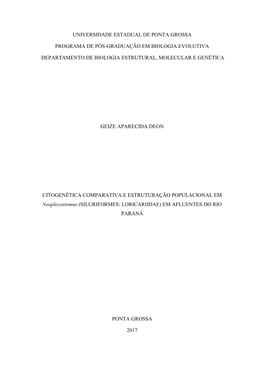 Dissertação Geize.Pdf