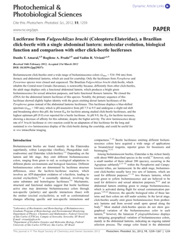 Luciferase from Fulgeochlizus Bruchi (Coleoptera: Elateridae), a Brazilian