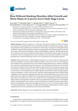 How Different Stocking Densities Affect Growth and Stress Status Of