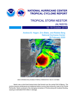 TROPICAL STORM NESTOR (AL162019) 18–19 October 2019