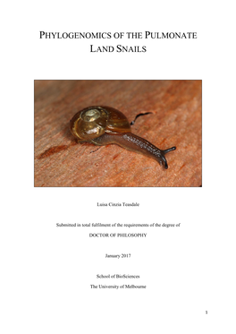 Phylogenomics of the Pulmonate Land Snails