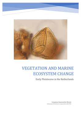 VEGETATION and MARINE ECOSYSTEM CHANGE Early Pleistocene in the Netherlands