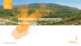 Investment Opportunities in Nabatieh 2017