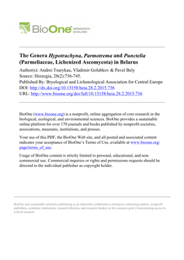 The Genera Hypotrachyna, Parmotrema and Punctelia
