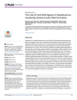 The Role of Host DNA Ligases in Hepadnavirus Covalently Closed Circular DNA Formation