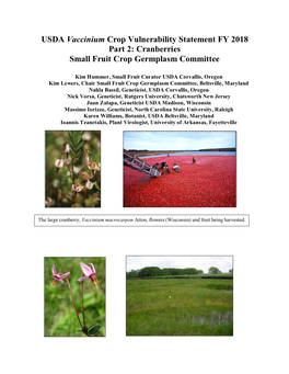 USDA Vaccinium Crop Vulnerability Statement FY 2018 Part 2: Cranberries Small Fruit Crop Germplasm Committee