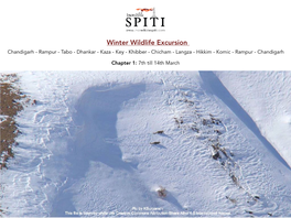 Winter Wildlife Excursion FD