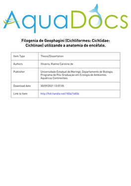 Phylogeny of Geophagini (Cichliformes: Cichlidae: Cichlinae) Using Encephalon Gross Morphology