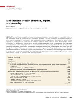 Mitochondrial Protein Synthesis, Import, and Assembly