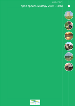 Open Spaces Strategy 2008 - 2013 1