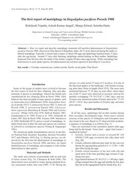 The First Report of Matriphagy in Stegodyphus Pacificus Pocock 1900