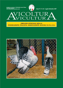 Araucana F.I.A.V