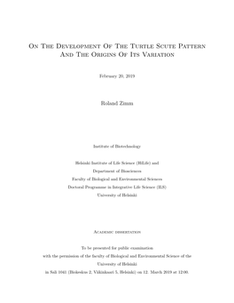 On the Development of the Turtle Scute Pattern and the Origins of Its Variation