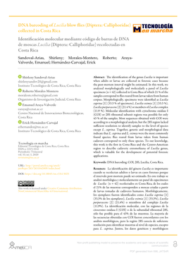 DNA Barcoding of Lucilia Blow Flies (Diptera: Calliphoridae) Colle