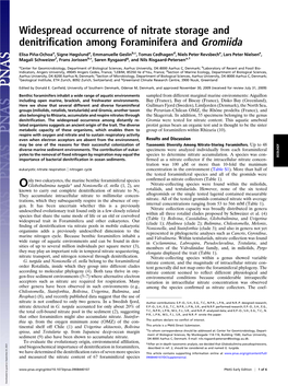 Widespread Occurrence of Nitrate Storage and Denitrification Among