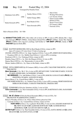 110 Bay Colt Foaled May 12, 2004 Consigned by Paradise Farm Halo (USA) # $ Sunday Silence (USA) $