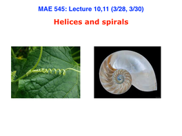 Helices and Spirals Helices in Plants