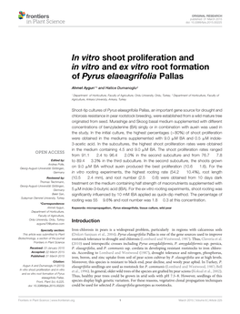 In Vitro Shoot Proliferation and in Vitro and Ex Vitro Root Formation of Pyrus Elaeagrifolia Pallas