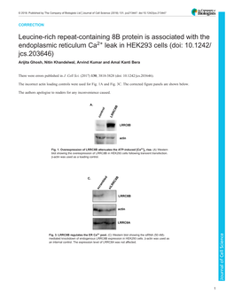 Leucine-Rich Repeat-Containing 8B Protein Is Associated with The