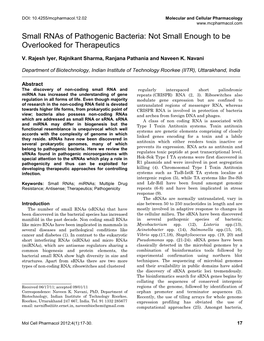 Small Rnas of Pathogenic Bacteria: Not Small Enough to Be Overlooked for Therapeutics