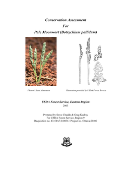 Conservation Assessment for Pale Moonwort (Botrychium Pallidum)