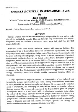 SPONGES (PORIFERA) in SUBMARINE CAVES by Jean Vacelet Centre D'oceanologie De Marseille (CNRS-Universite De La Mediterranee, UMR 6540), Station Marine D'endoume