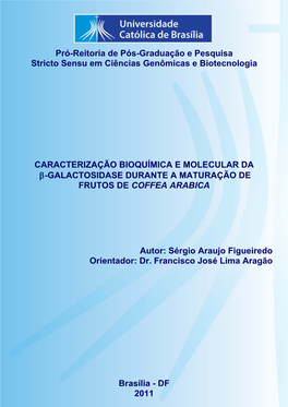 Sergio Araujo Figueiredo.Pdf