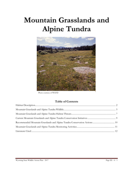 Mountain Grasslands and Alpine Tundra