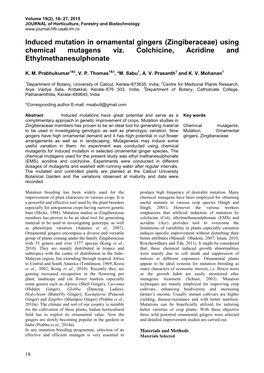 Induced Mutation in Ornamental Gingers (Zingiberaceae) Using Chemical Mutagens Viz