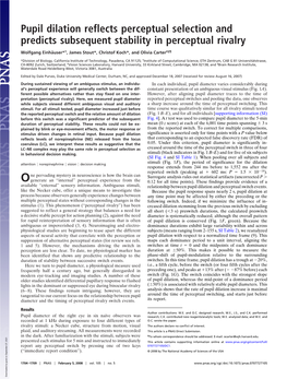 Pupil Dilation Reflects Perceptual Selection and Predicts Subsequent Stability in Perceptual Rivalry