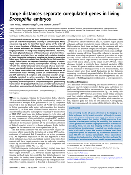 Large Distances Separate Coregulated Genes in Living Drosophila Embryos