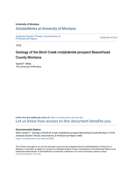 Geology of the Birch Creek Molybdenite Prospect Beaverhead County Montana