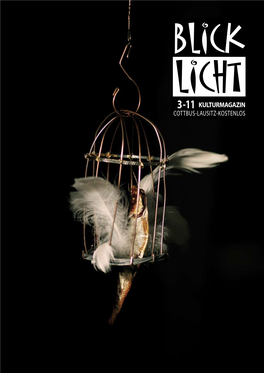 3 -11 Kulturmagazin Cottbus-Lausitz-Kostenlos