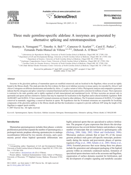 Three Male Germline-Specific Aldolase a Isozymes Are Generated by Alternative Splicing and Retrotransposition