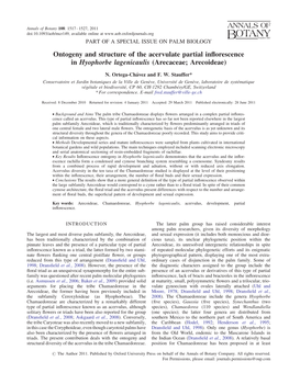 Ontogeny and Structure of the Acervulate Partial Inﬂorescence in Hyophorbe Lagenicaulis (Arecaceae; Arecoideae)