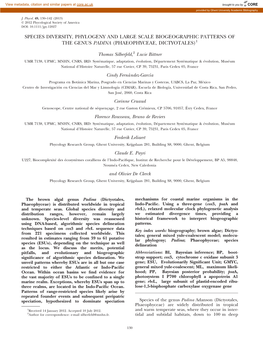 Species Diversity, Phylogeny and Large Scale Biogeographic Patterns of the Genus Padina (Phaeophyceae, Dictyotales)1