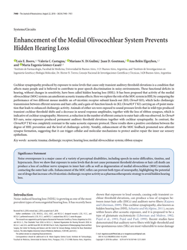 Enhancement of the Medial Olivocochlear System Prevents Hidden Hearing Loss