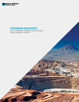 2012 WORKING TOWARD SUSTAINABLE DEVELOPMENT REPORT FREEPORT-Mcmoran COPPER & GOLD INC