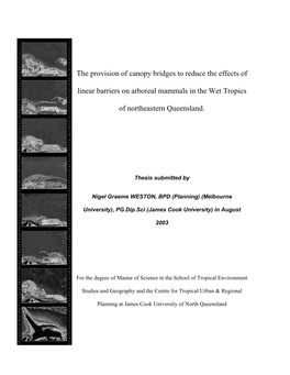 The Provision of Canopy Bridges for Arboreal