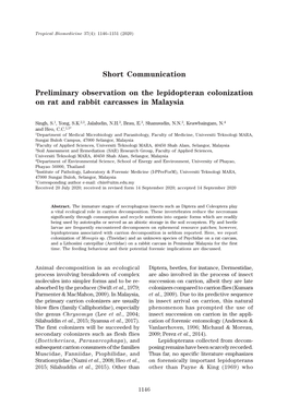 Preliminary Observation on the Lepidopteran Colonization on Rat and Rabbit Carcasses in Malaysia